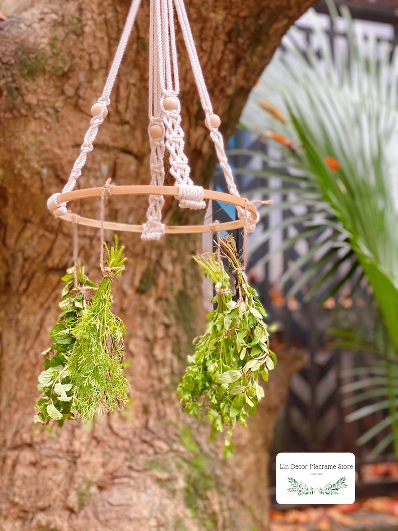 May include: A white macrame plant hanger with wooden beads hangs from a tree branch. Two bundles of fresh herbs are suspended from the hanger.