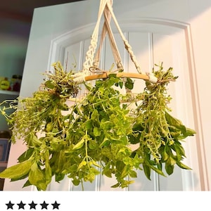 May include: A white macrame hanging herb drying rack with a bamboo ring, holding bunches of fresh herbs.