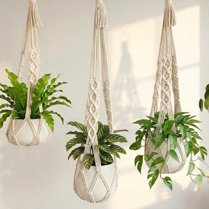 May include: Three hanging macrame plant holders with white ceramic pots and green plants. The macrame hangers are cream-colored and feature intricate woven patterns. The plants have lush green foliage, adding a natural touch to the decor.