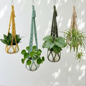 May include: Four hanging macrame plant holders in various colors: mustard yellow, seafoam green, olive green, and beige. Each holder suspends a white ceramic pot with a different type of green plant. The holders are suspended from metal hooks against a white wall.