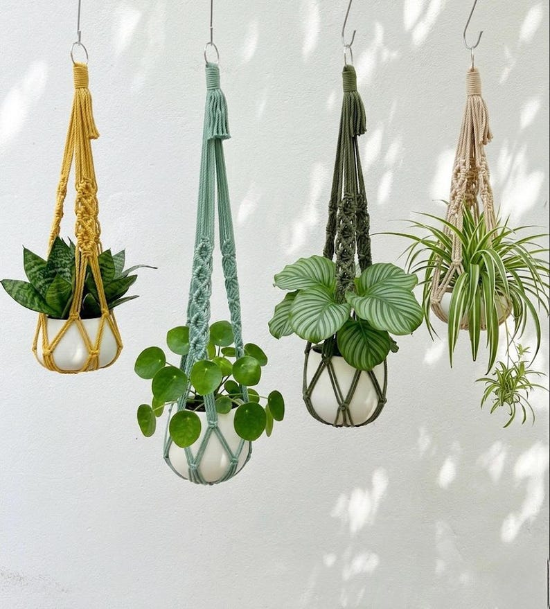 May include: Four hanging macrame plant holders in various colors: mustard yellow, seafoam green, olive green, and beige. Each holder suspends a white ceramic pot with a different type of green plant. The holders are suspended from metal hooks against a white wall.