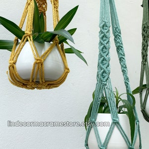 May include: Close-up of three macrame plant hangers in shades of yellow, teal, and green, each holding a white ceramic pot with green plants. The macrame designs vary, showcasing intricate knotting patterns. The background is a plain white wall.