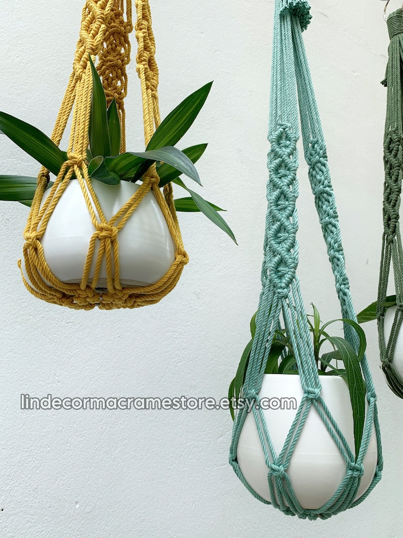 May include: Close-up of three macrame plant hangers in shades of yellow, teal, and green, each holding a white ceramic pot with green plants. The macrame designs vary, showcasing intricate knotting patterns. The background is a plain white wall.