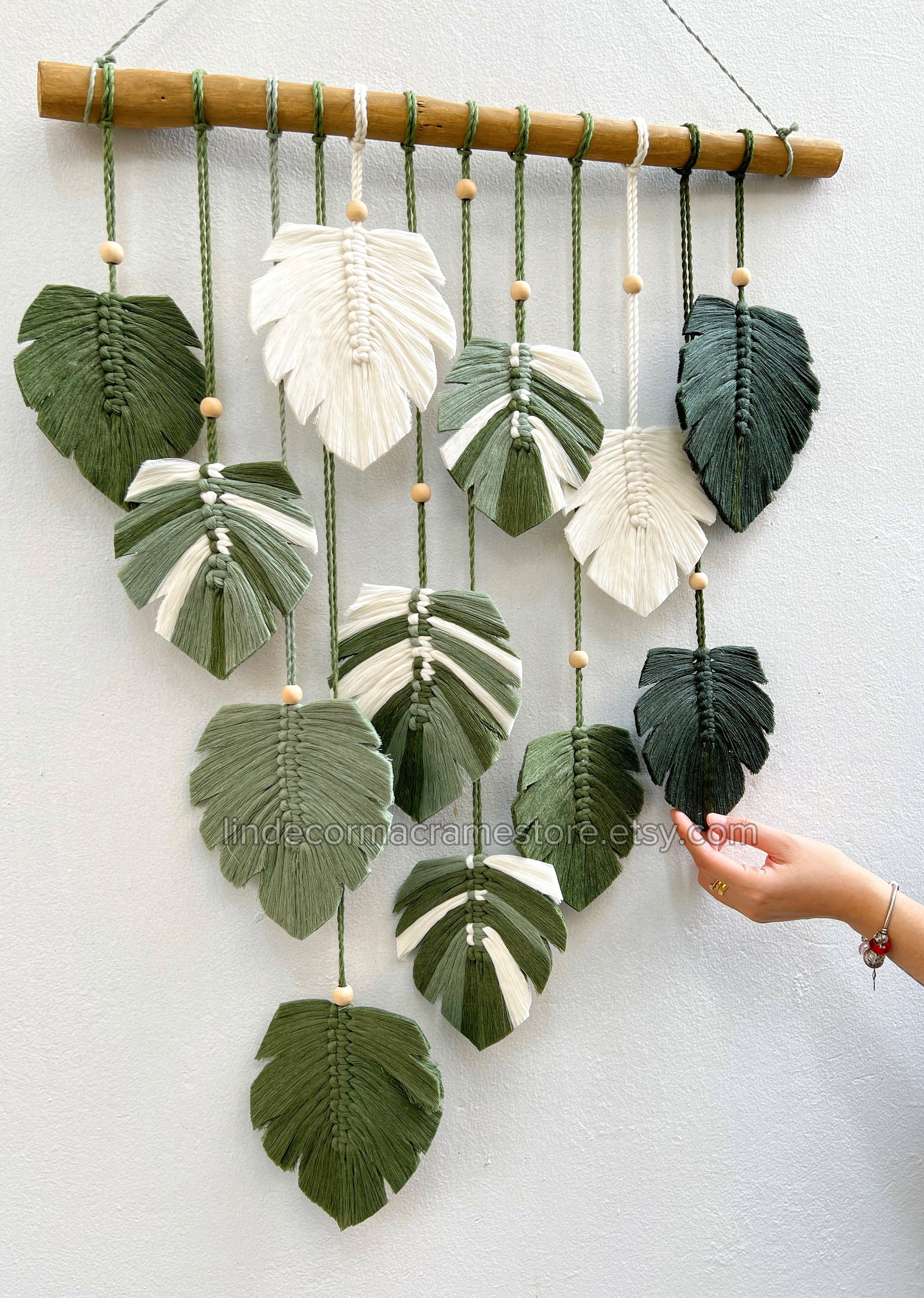 philodendron garten Philodendron Maximum