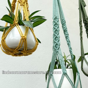 May include: Macrame plant hangers in mustard yellow, seafoam green, and olive green, each holding a white ceramic pot with green plants. The hangers are suspended against a white wall, showcasing the intricate knotting patterns and textures of the macrame.