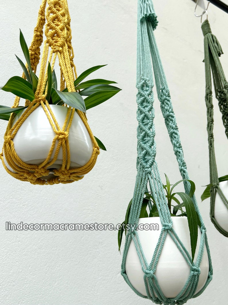 May include: Macrame plant hangers in mustard yellow, seafoam green, and olive green, each holding a white ceramic pot with green plants. The hangers are suspended against a white wall, showcasing the intricate knotting patterns and textures of the macrame.