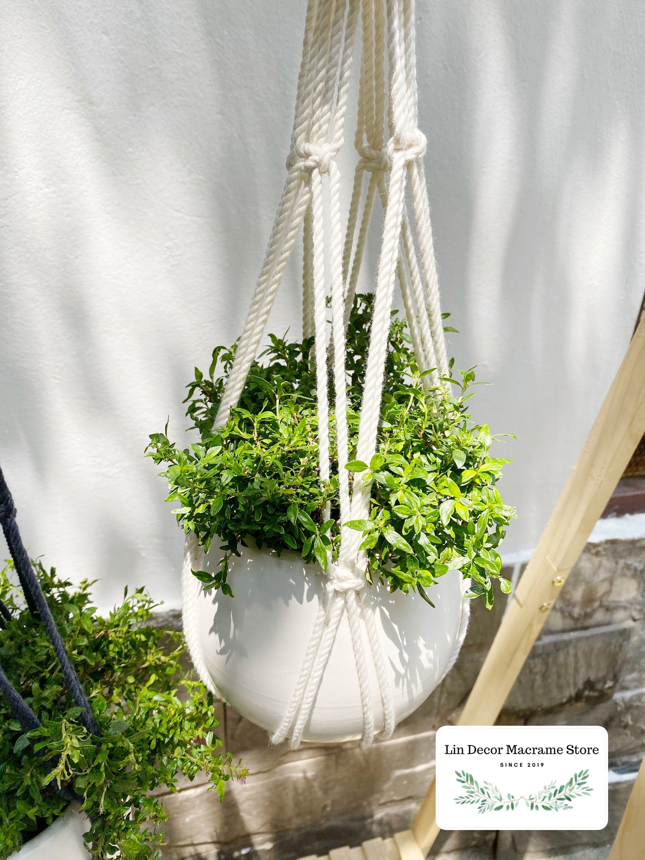 Collier Porte-Bonheur - Pendentif Trèfle à 4 Feuilles En Cristal Vert Sur Chaîne Inox - 45-50 Cm