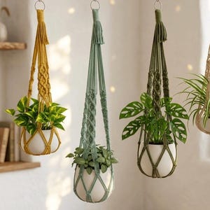 May include: Three hanging macrame plant holders in shades of yellow, green, and olive green, each holding a different type of leafy green plant in a white ceramic pot. The macrame hangers are suspended from a black metal bar.