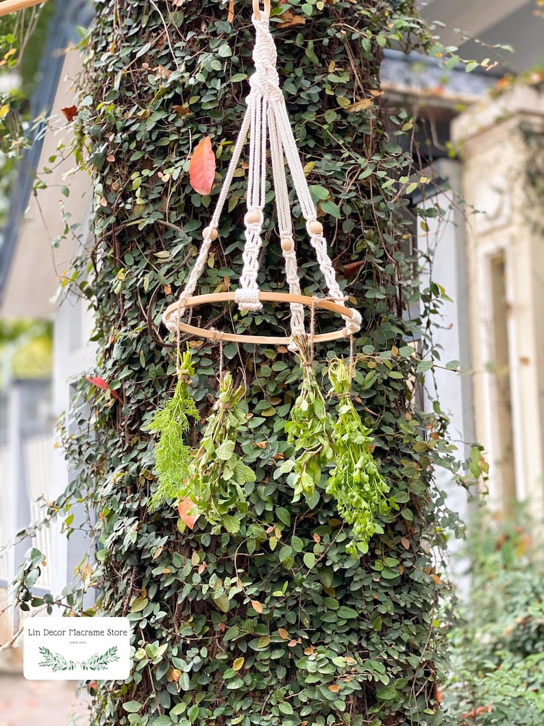 May include: A white macrame plant hanger with wooden beads hangs from a tree branch. The hanger has a circular wooden ring at the bottom, and there are three bundles of dried herbs hanging from it.