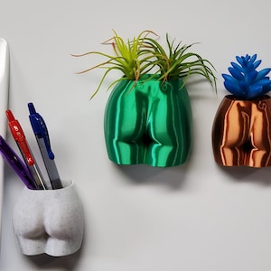 May include: Three 3D printed planters shaped like a human bottom, each in a different color. The planter on the left is white, the middle planter is green, and the planter on the right is copper. The green planter has two air plants in it, and the copper planter has a blue succulent in it. The white planter is empty and has three pens in it.