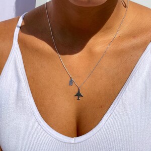 Airplane Necklace • Traveler Gift • Wanderlust Necklace  • Dainty Necklace  • Travel Buddy • Flight Attendant Gift • Frequent Flyer Gift