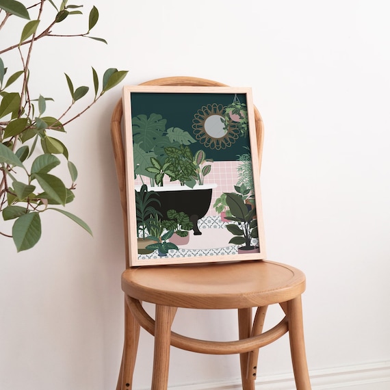 zimmerpflanze mit punkten Begonia Maculata  Trendpflanze mit Punkten