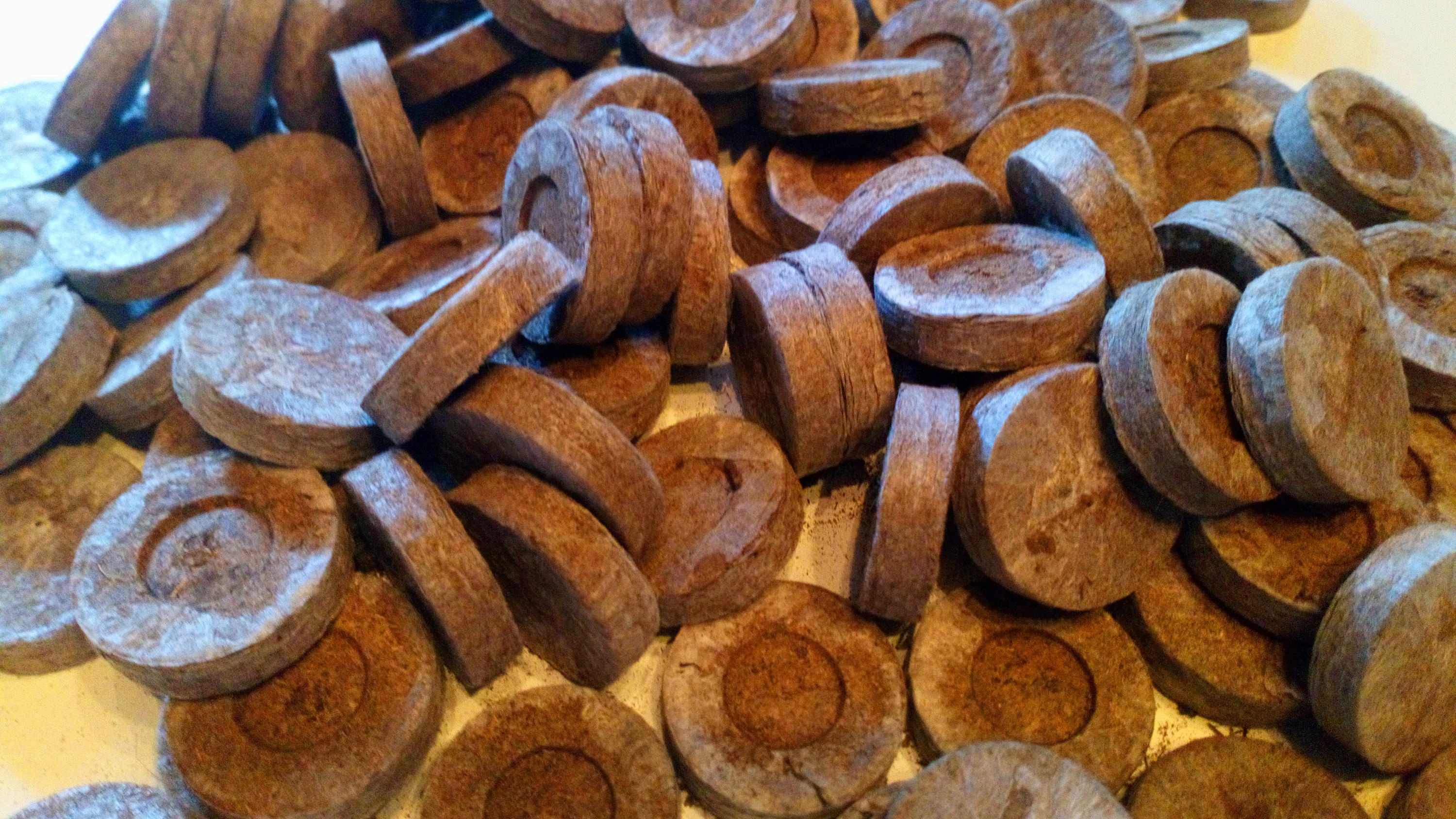 10 Pastilles de Tourbes Compressées, Tourbe Déshydratée, Plantation Tourbe