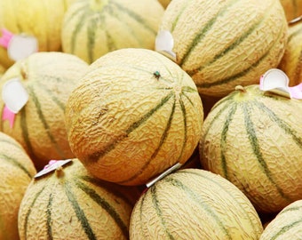 30 Charentais Melon Seeds, Cucumis Melo