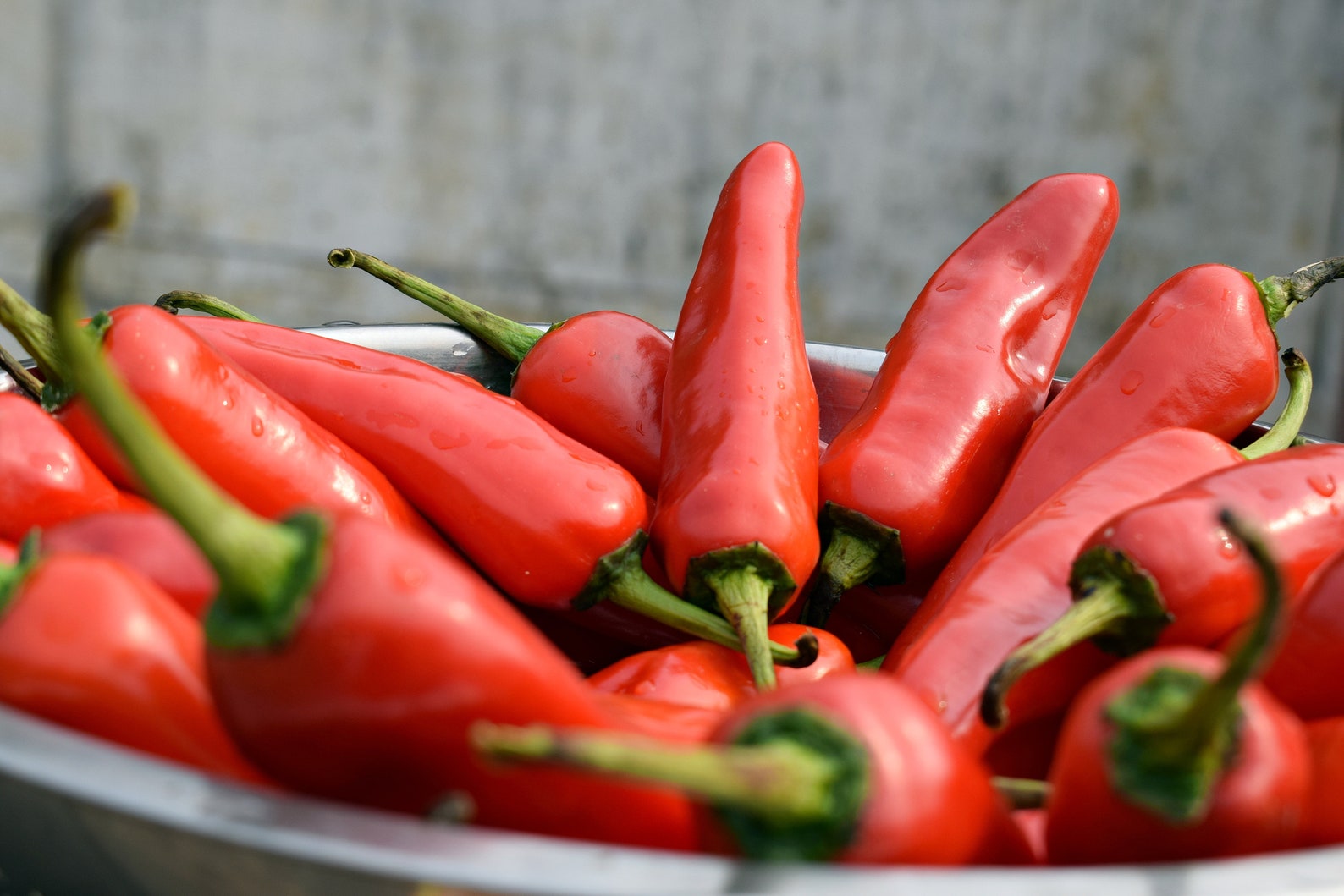 35 Red Jalapeño Pepper Seeds Capsicum annuum Hot Mexican Etsy