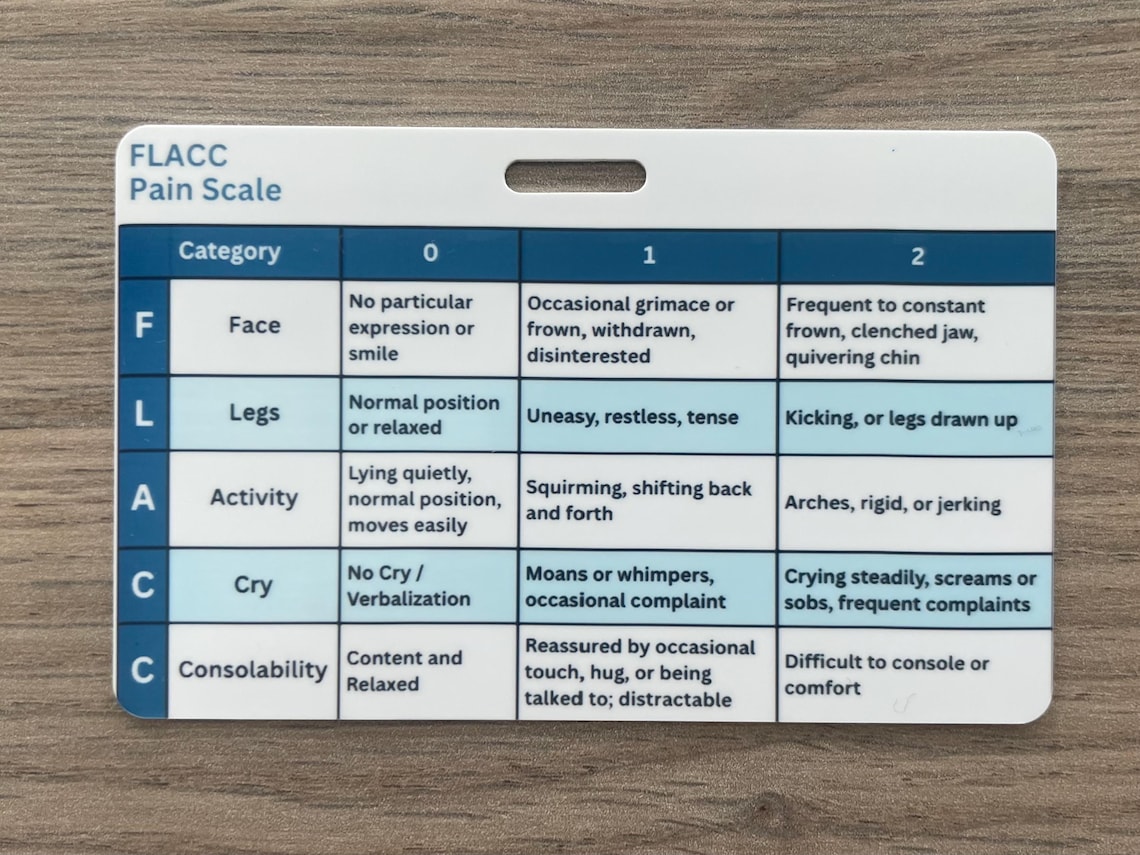 Pain Control Card FLACC Pain Scale Badge Buddy | Pediatric Pain Assessment Reference Card ...