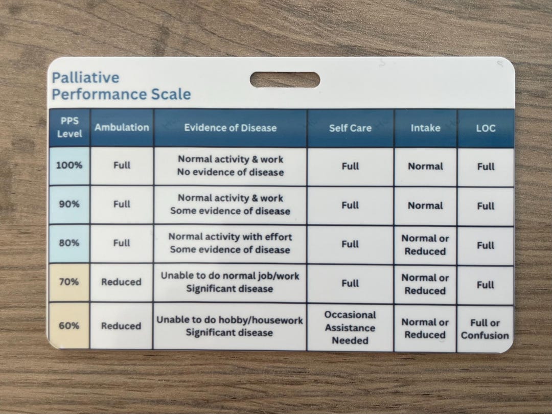 Horizontal Hospice Nurse Badge Buddy | PPS Scale Reference | Gift for ...