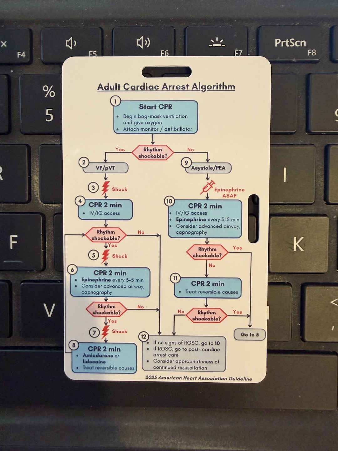 ACLS 2025 Adult Cardiac Arrest Algorithm Badge Buddy | Cardiac Arrest ...