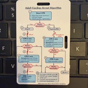 May include: A white card with the "Adult Cardiac Arrest Algorithm" printed on it. The card has a flow chart with steps for CPR, including "Start CPR", "Shock", and "CPR 2 min". The text "2025 American Heart Association Guideline" is at the bottom.
