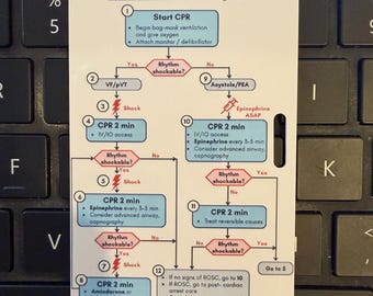 ACLS 2025 Adult Cardiac Arrest Algorithm Badge Buddy | Cardiac Arrest Badge Buddy | Gift for Nurses | Nursing Student Gift | ACLS Guidelines