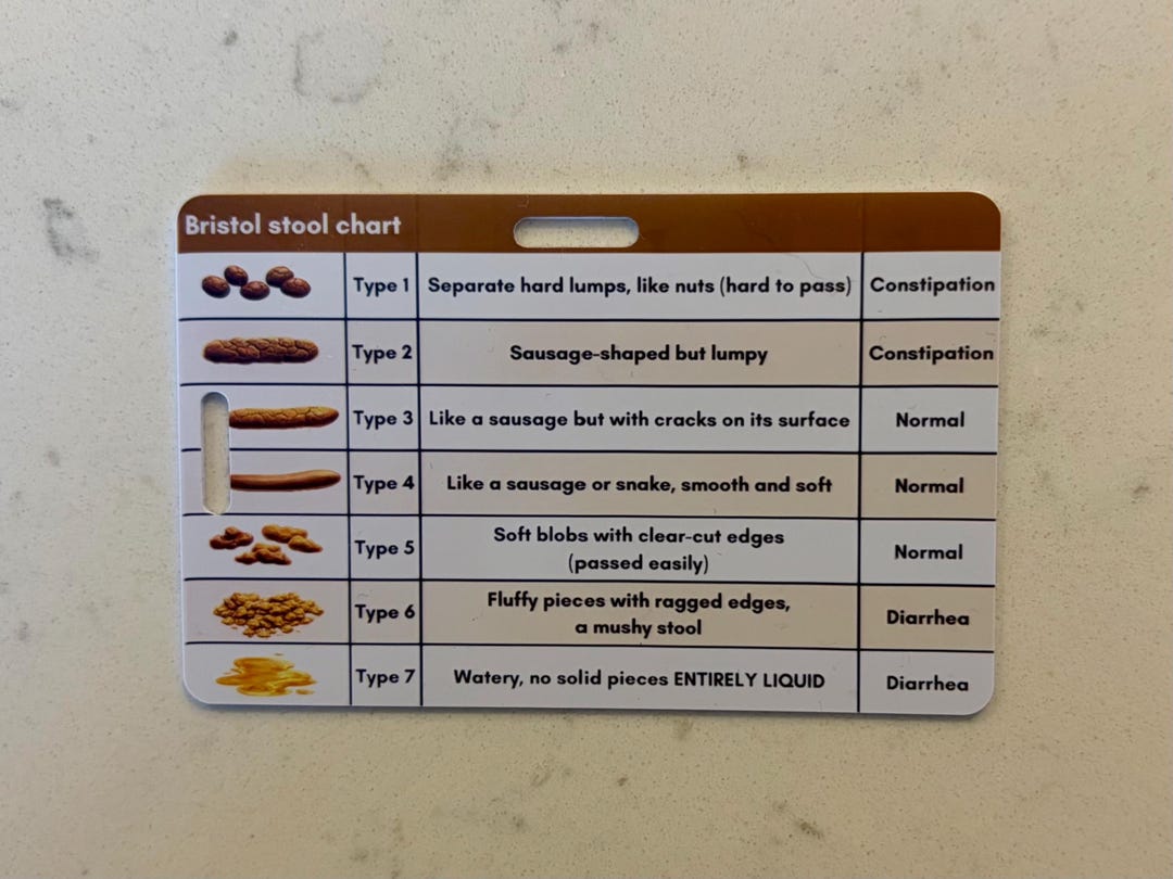 Bristol Stool Chart Badge Buddy | Poop Chart Badge Buddy | Gift for ...