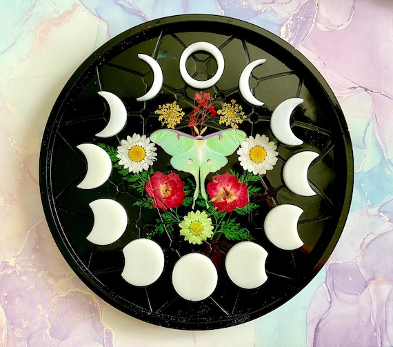 Luna Moth Moon Phase Wall Art ~ Lunar Phase Wall Art ~ Crescent Moon Wall Hanging ~ Pressed Dried Flowers