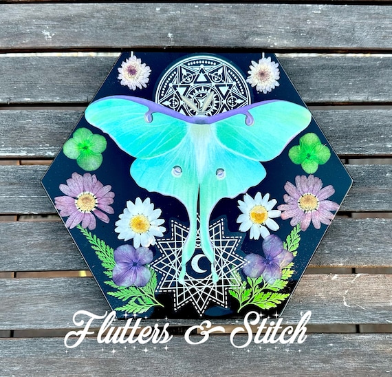 Luna Moth Wall Art: Real Dried Flowers, Witchy Decor