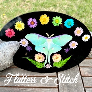 Luna Moth Paint Palette: Dried Flowers, Wall Art