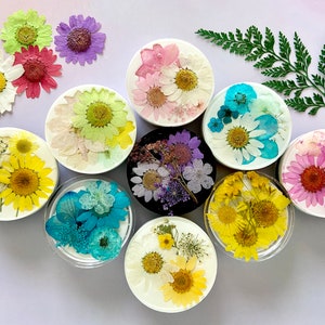 Dried Pressed Flower Phone Grip Holder~ Phone Stand ~ Daisies ~ Roses