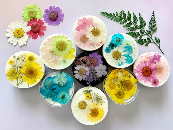 Dried Pressed Flower Phone Grip Holder~ Phone Stand ~ Daisies ~ Roses