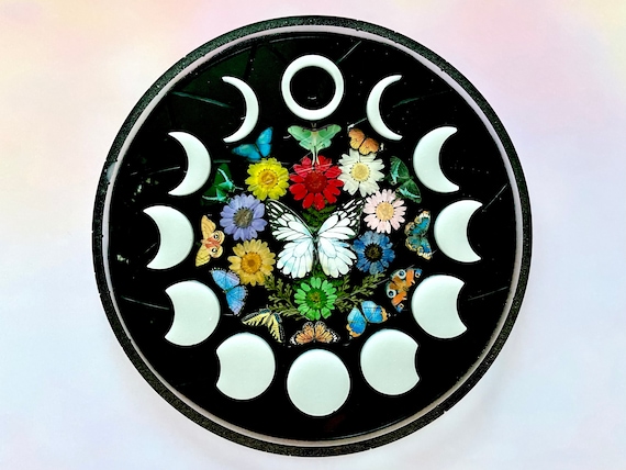 Moon Phase Lunar Wall Art ~ Black and White Butterfly with Real Dried Flowers