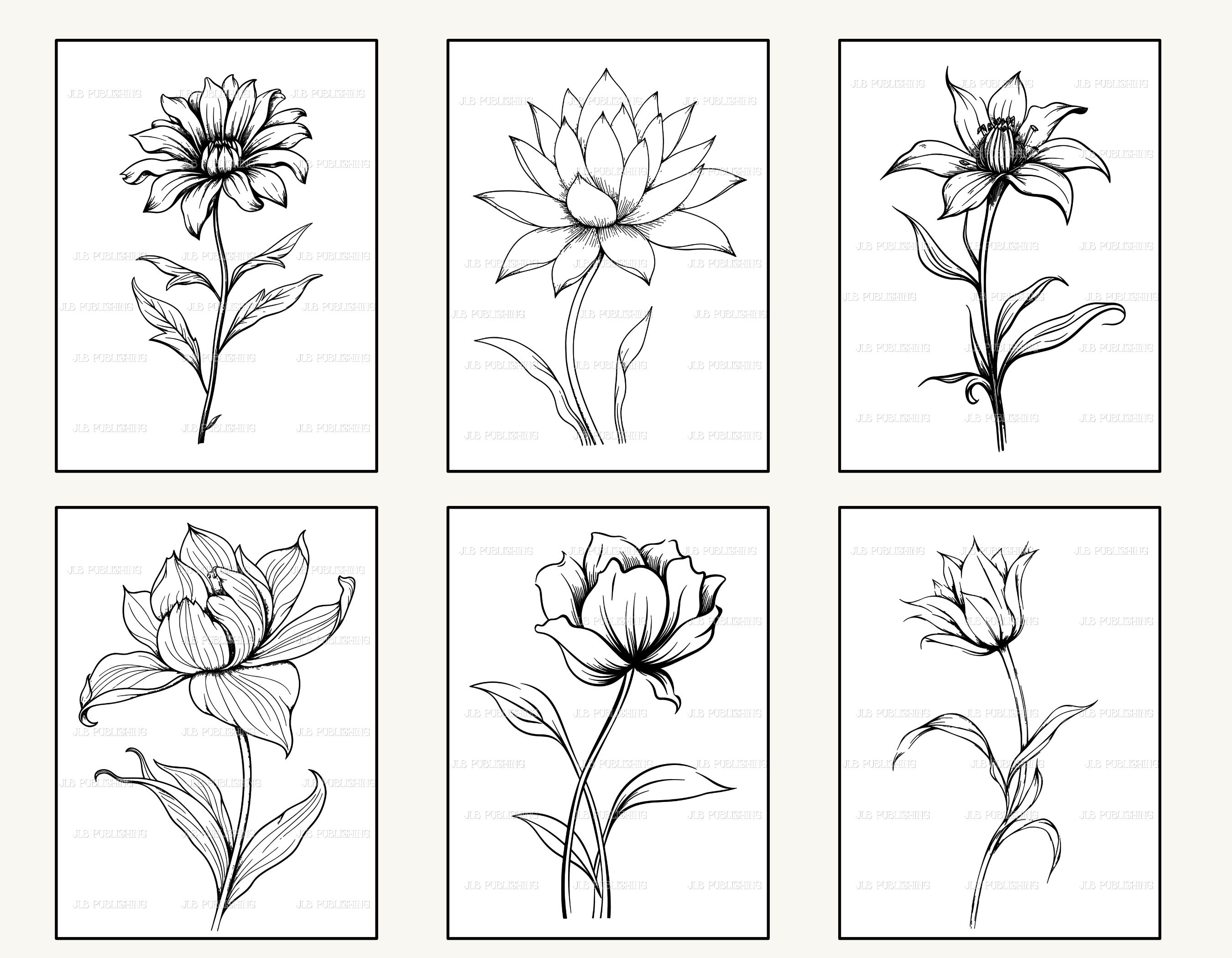 20 Simple Flower Coloring Pages Set 1| Adult's Coloring Book Download ...
