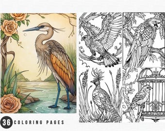 World of Birds Coloring Pages | 36 Page Adult Kid Coloring Book (Printable PDF)