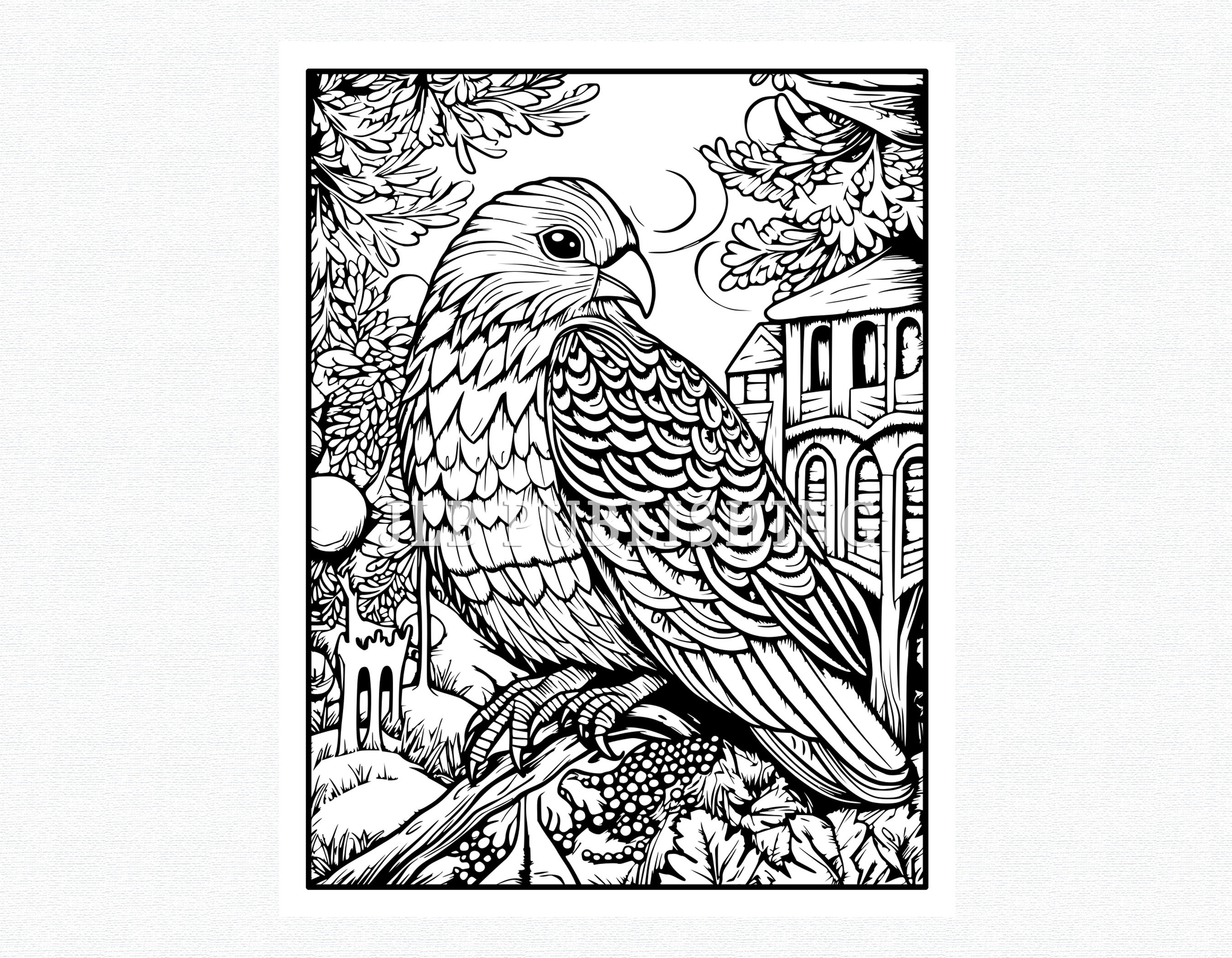45 Madhubani Inspired Coloring Pages Adult Coloring Book - Etsy