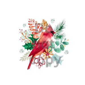 May include: A watercolor painting of a red cardinal bird perched on a branch of green pine needles. The bird is surrounded by a variety of green and red foliage, including holly leaves and berries.
