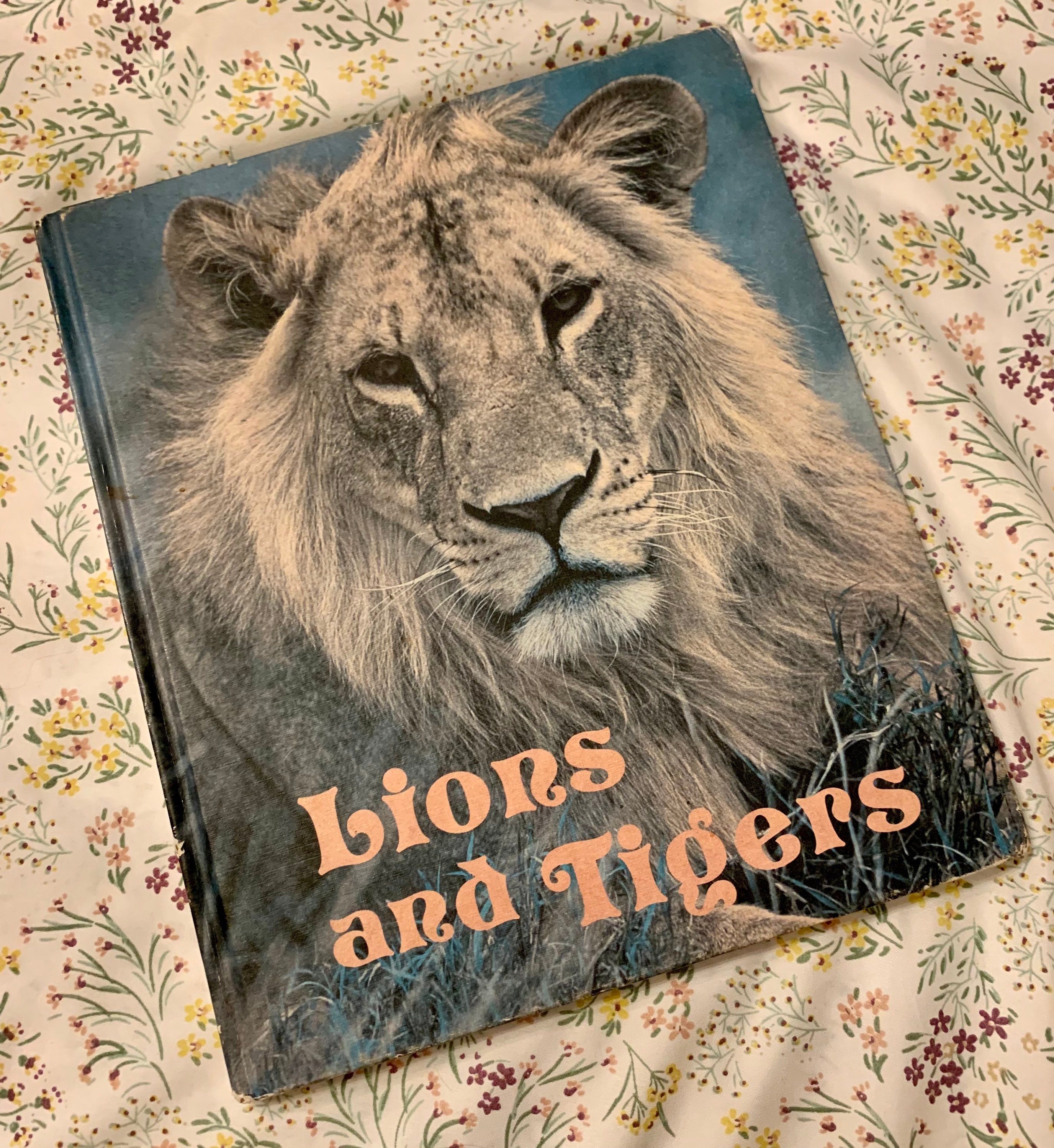 Vintage Lions and Tigers Jocelyn Arundel 1974 National Wildlife Federation HC Ranger Rick’s Best Friends