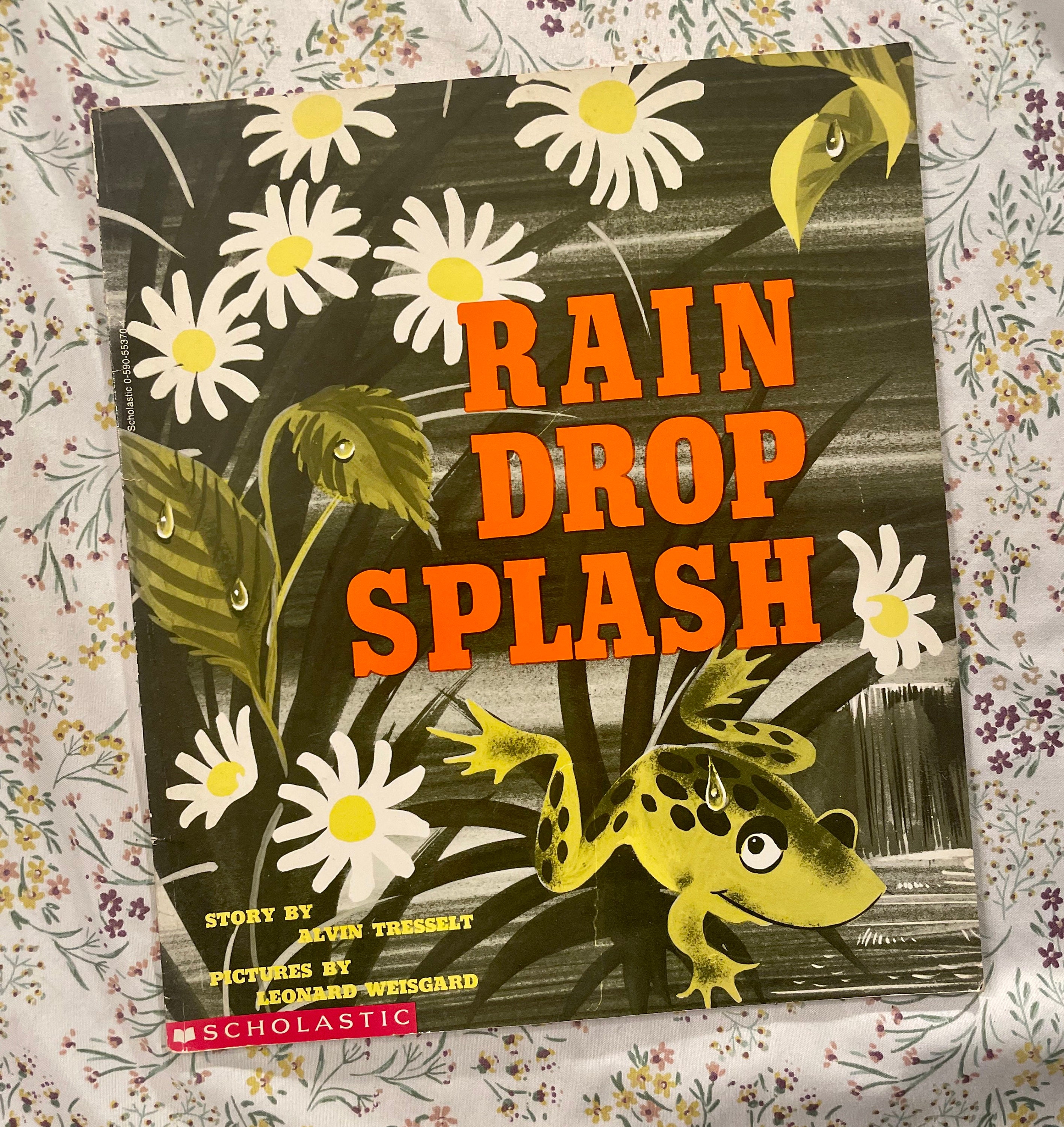 Rain Drop Splash Alvin Tressault Leonard Weisgard Vintage Kids