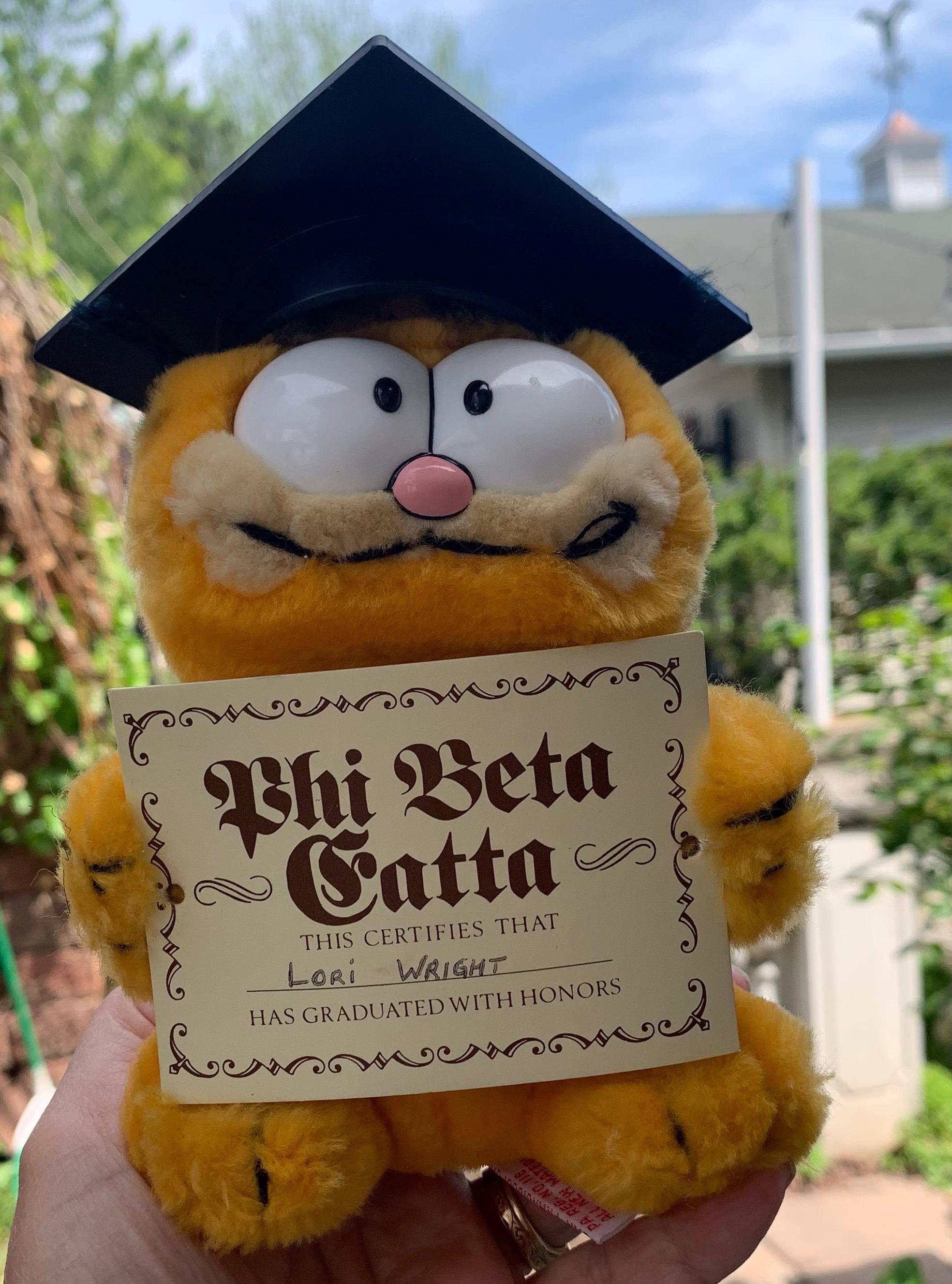 Garfield Plush Graduation - Etsy