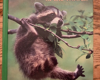 Vintage children’s book Creatures of the Woods Books for Young Explorers by Toni Eugene 1985
