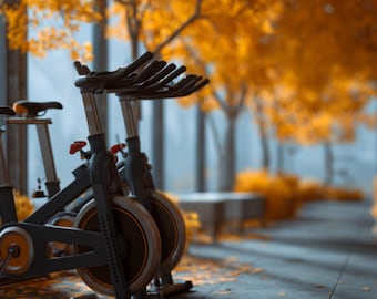Fall Fitness health Background| gym background| coach back ground| photo overlays| backdrops| photography| health poster