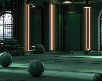 Emerald Fitness health Background| gym background| coach back ground| photo overlays| backdrops| photography| health poster