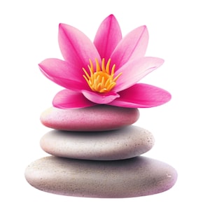 Wellness-png|Gezondheidsposter|hartslag |grafiek |sociale media| plannerstickers| transparant png-bestand| digitaal|directe download |verpleegkundige|wetenschap