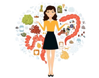 PNG de salud intestinal / regalo para niños / póster de salud / folleto para redes sociales / corazón / pegatinas para agenda / PNG transparente / digital / descarga instantánea /