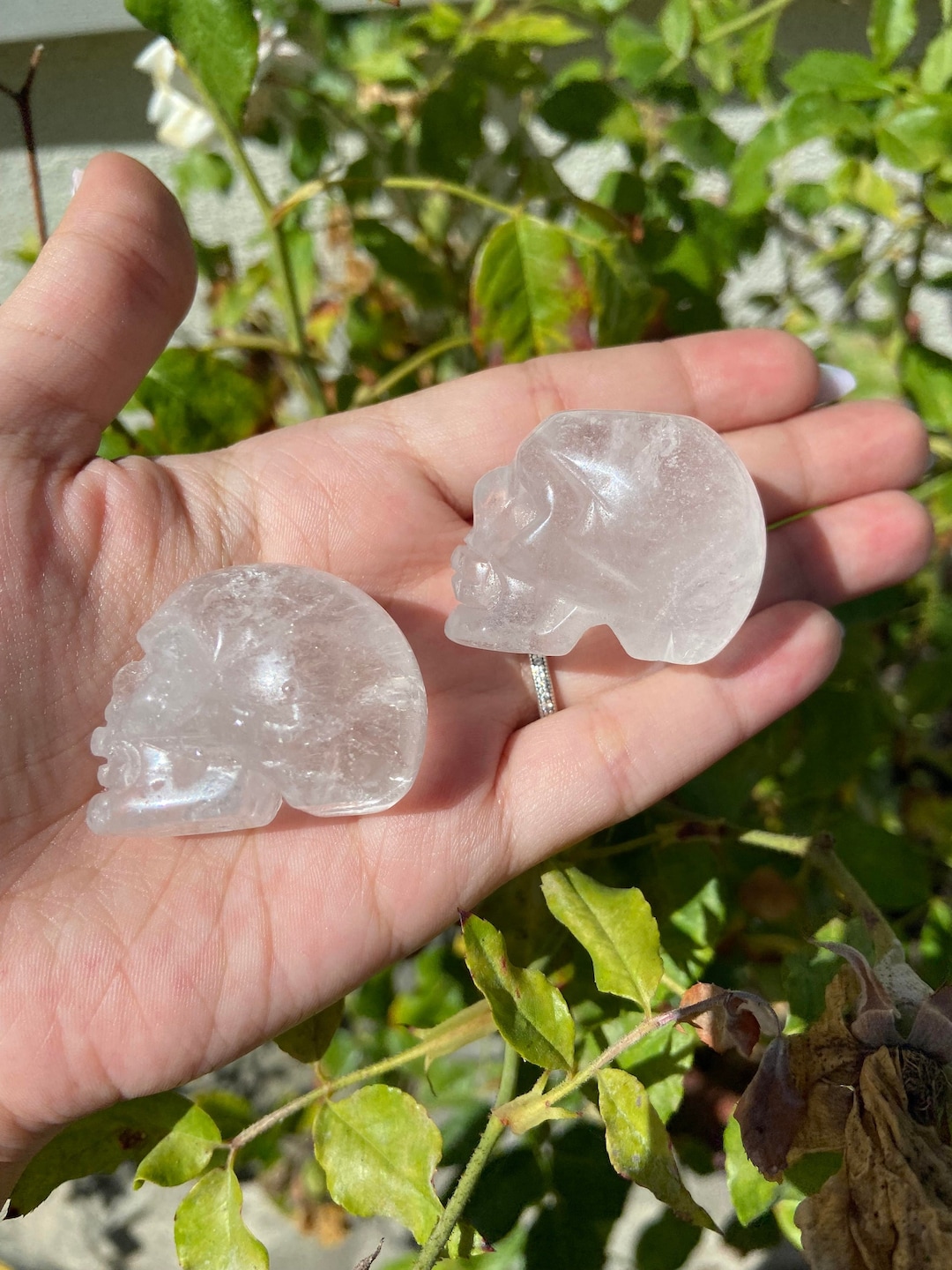 Clear Quartz Crystal Skulls Clear Quartz Crystals Clear Quartz Carvings