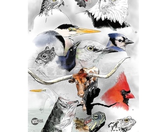 UPDATED | Nature's Wildlife B&W/Color! Posters