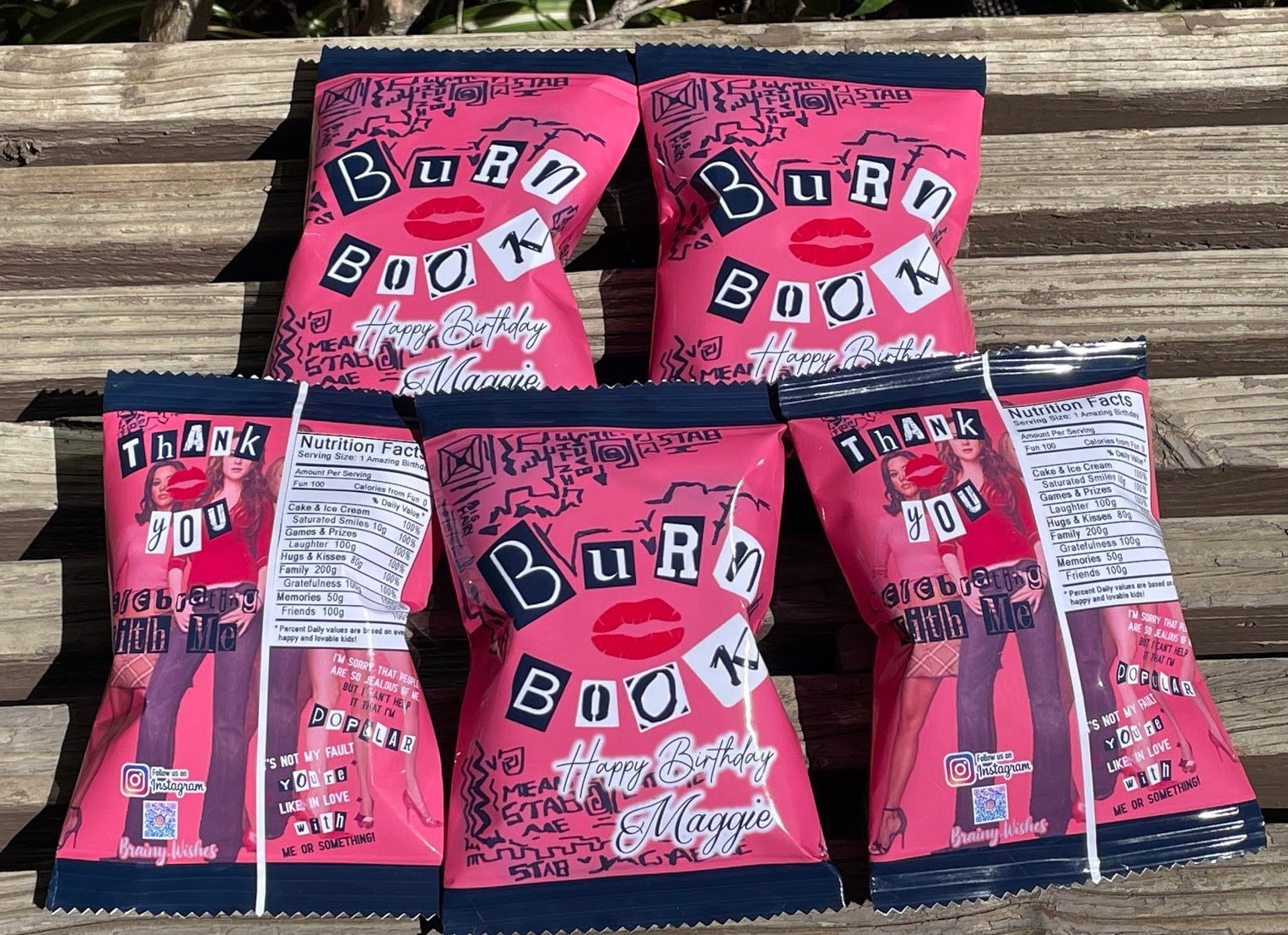 Mean Girls Party Favors, Mean Girls Chip Bags, Burn Book Party Favor, Burn Book Chip Bags