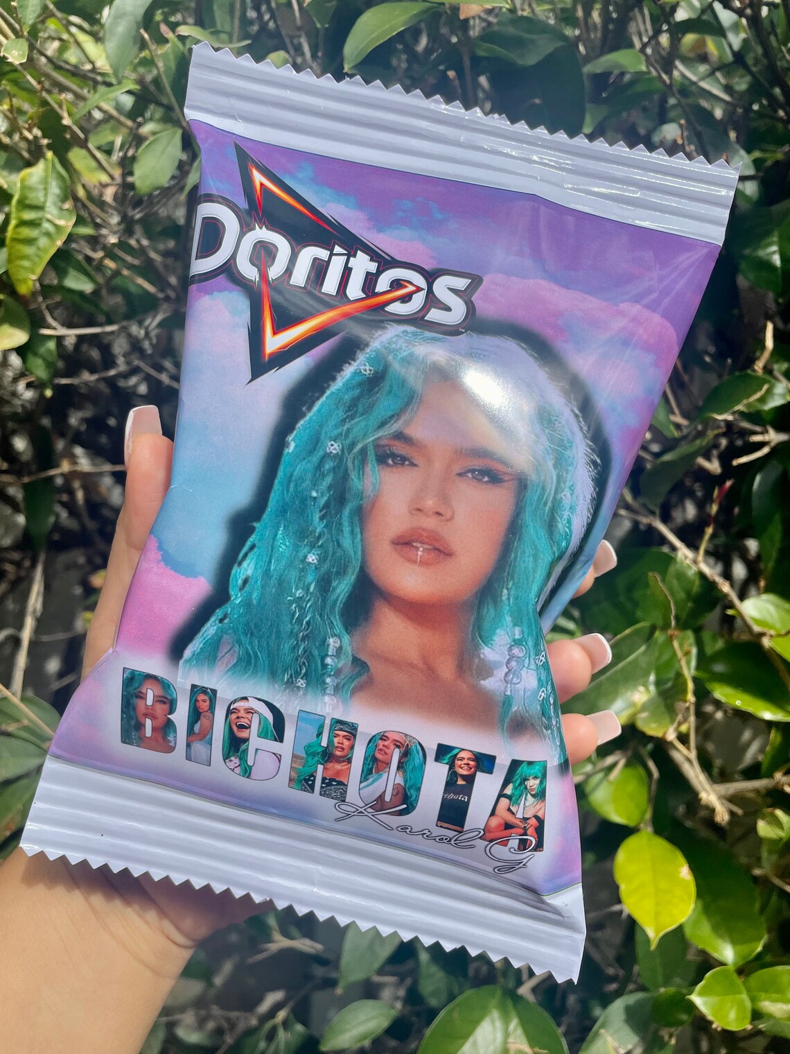 Karol G Chip Bag Bundle Bichota Chip Bag Bundle Karol G Chip Etsy
