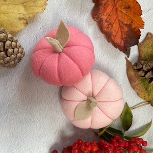 Pumpkin felt decoration or Set of 2, Pink Blush Pumpkin, Autumn harvest, Pumpkin ornament,Fall Home decor,Rustic , Halloween home