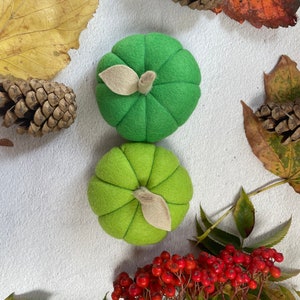 Pumpkin felt decorations, autumn ornament ,