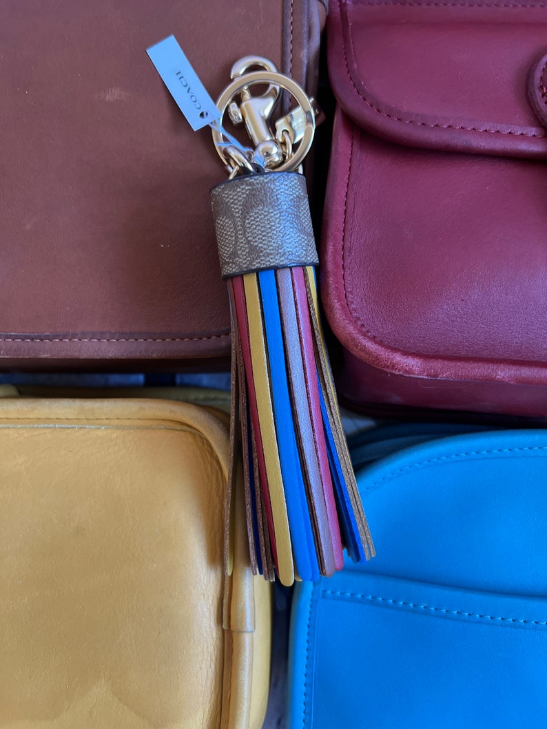 coach purses multicolor